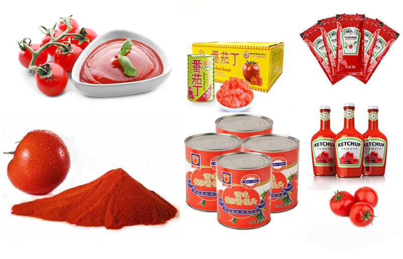 images/1710922418142tomato processing produce.jpg